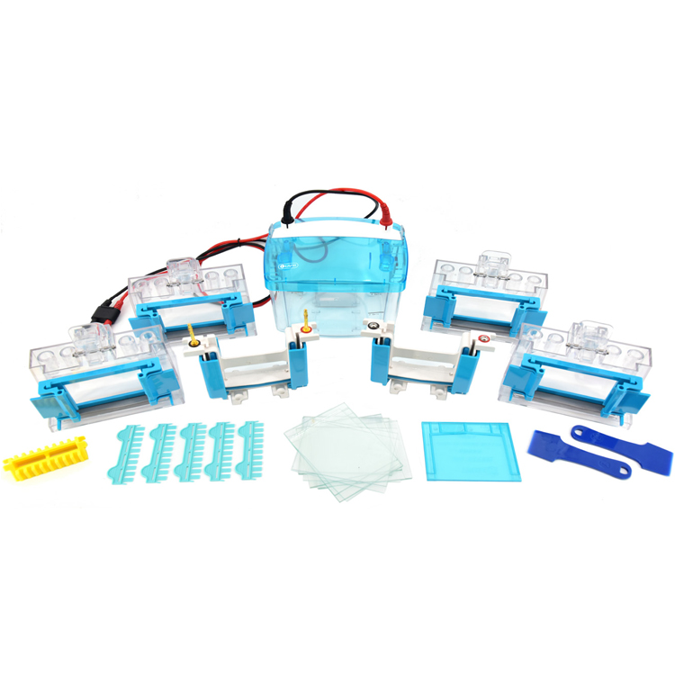 北京六一DYCZ-MINI4型四板垂直電泳儀