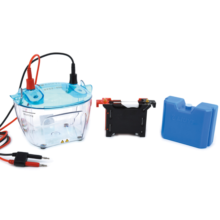 北京六一DYCZ-40K轉(zhuǎn)印電泳儀